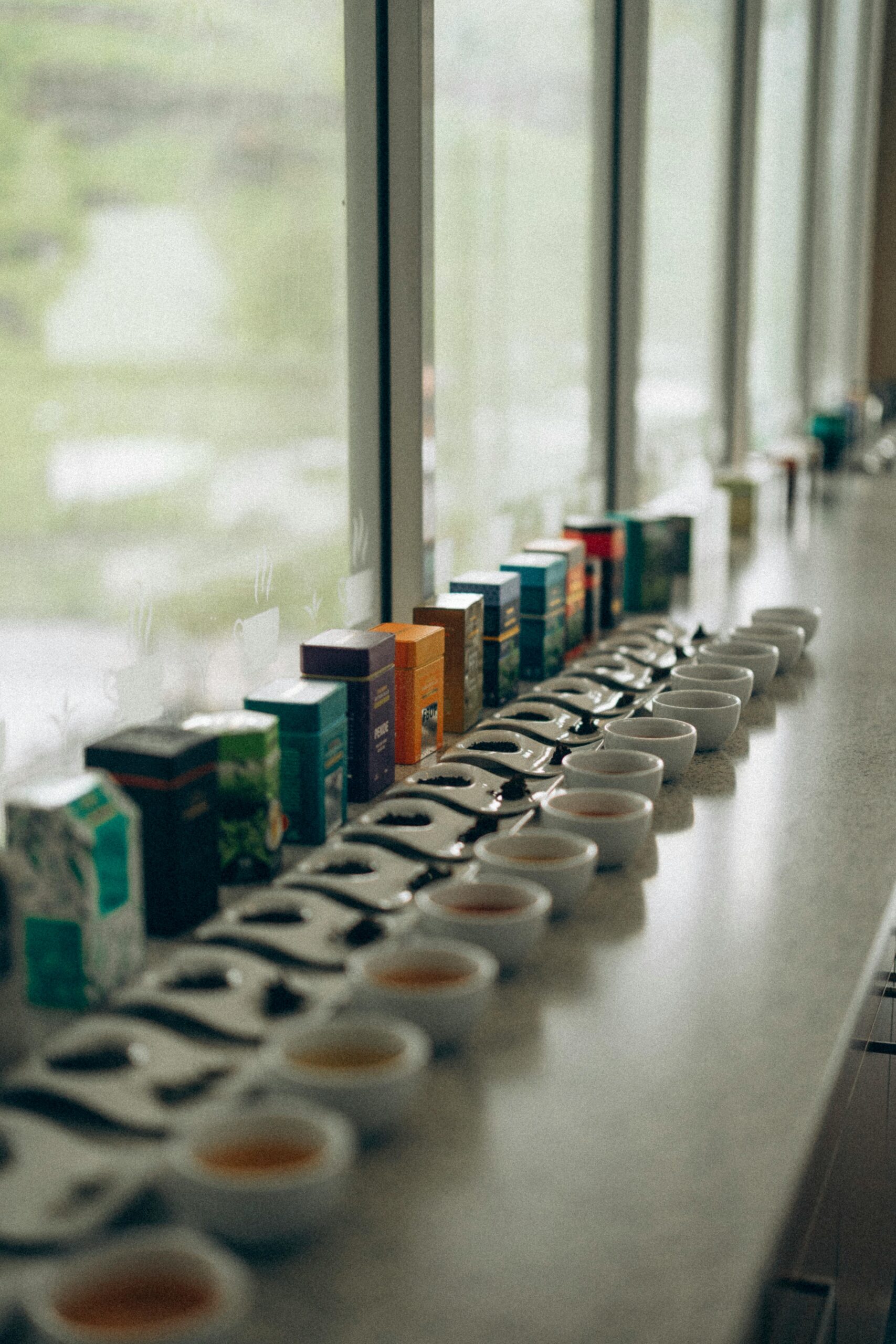 photos from Tea Factory from Sri Lanka